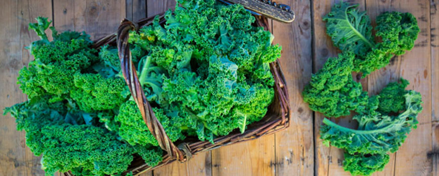 Immune boosting foods and herbs